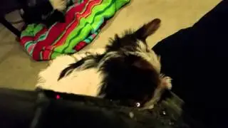 Little girl sitting in my lap.