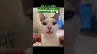Звук [р] #рки