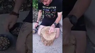 Making Syrup From Tree Bark!