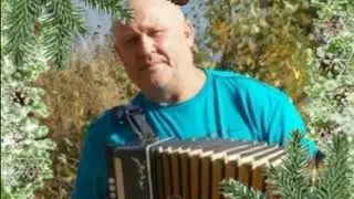 Валерий Заведяев    деревенский гармонист