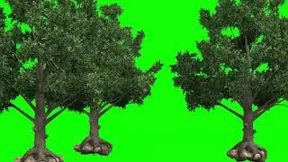 green screen 3 trees with wind