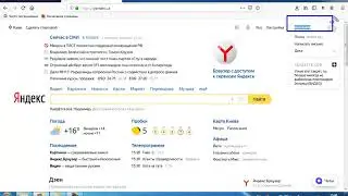 Яндекс метрика гостевой доступ