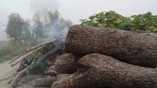 pataka 1