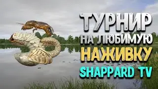 Русская рыбалка 4 🐟  20.00 мск тур густера(макс.вес)оз.Медвежье!🐟1 место -100 лич.майского!!🐠