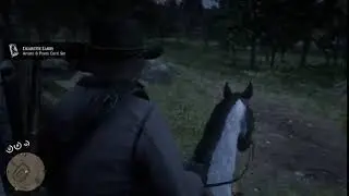 Horse mounting stunts [Red Dead Redemption 2]