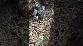 уничтожение миномётной позиции ВСУ Ивановское Красное