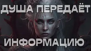 📣ДУША ПЕРЕДАЁТ ИНФОРМАЦИЮ 🕊️💬🚨