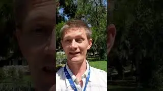 Квартира в Сочи по цене 230 000₽ за кв.м.