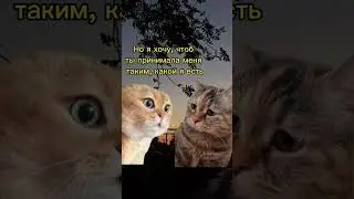 29 марта 2024 г.