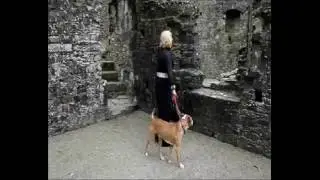 footage clips of not remembering words