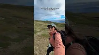 One of my fav days on our cruise to Antarctica, South Georgia & Falkland Islands #vlog #cruiseship