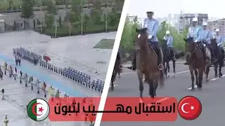 استقبال مهيب لرئيس الجزائر في أنقرة