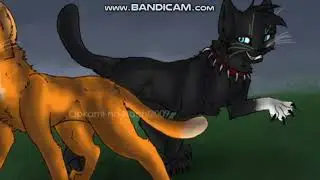 Коты воители (клип) День ночь *Огнезвёзд и Бич*