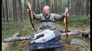 Рыбалка в Карелии. Боевые щуки таёжного озера.