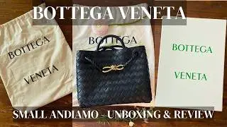 BOTTEGA VENETA SMALL UNBOXING & REVIEW | THE IT BAG OF 2024