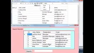 VB Net Tutorial: Report viewer with parameters