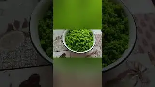 Чесночные стрелки, супер!🔥