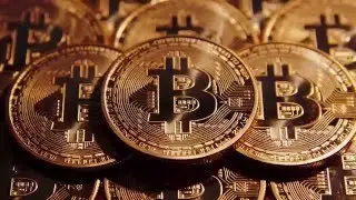 Ecoin.  Новая криптовалюта. Предстарт.