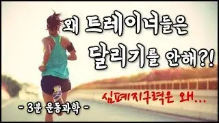 왜 트레이너들은 달리기를 안해?? 유산소 운동을 안해??