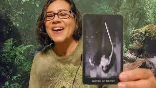 Finding Your Authentic Path - Wisdom Through The Darkness of Light Tarot