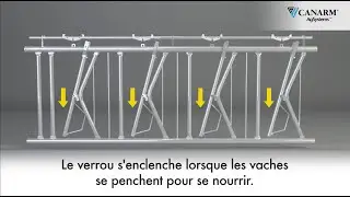 Mangeoires à Carcan Autobloquantes