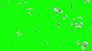 4K One Dollar Note Falling Down Motion Graphics | Green Screen Background | Loop Animation