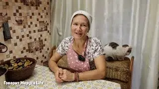 ВРЕМЯ ПРОЛЕТАЕТ😲 Как проходят праздники? Заготовки пастила Entertainment on holidays 3 октября 2023