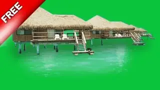 green screen beach background video / green screen effects summer