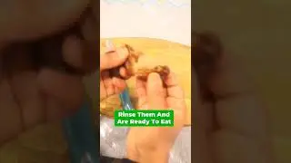 Nutrient Rich Breakfast For Kids | Episode 3 