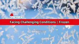 Facing Challenging Conditions | Frozen