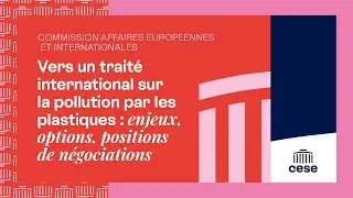 Vers un traité international sur la pollution par les plastiques - CESE