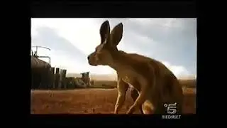 307 Serie Australian 2007