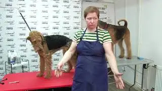 Мастер-класс 