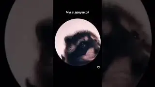 Когда в мерседесе заиграл любимый трек #увастакже #любимыйтрек🎶 #енотик🐾 #педропедро🔥🔥🔥