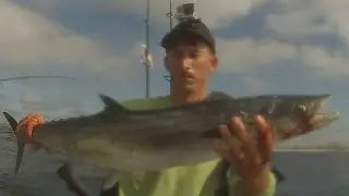 King mackerel and rough seas off Destin - Kayak Fishing