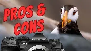 PROS and CONS of the OM SYSTEM OM-1 MK II - WILDLIFE FIELD REVIEW