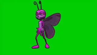 Funny Butterfly Animation Green Screen