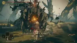 Воплощение древа упадка Shadow of the Erdtree