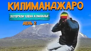Восхождение на Килиманджаро. День 2. 🏔️ Шира 2 кемп (3850) - Баранко кемп (3900)