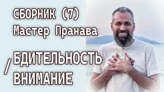 Сборник (7). Бдительность/Внимание. Мастер Пранава