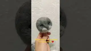 реалистичный котёнок из шерсти 