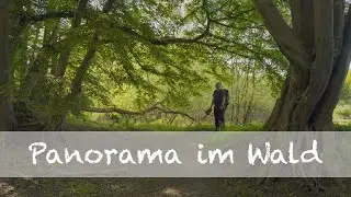 Fotografie im Wald - Die Müggenburg