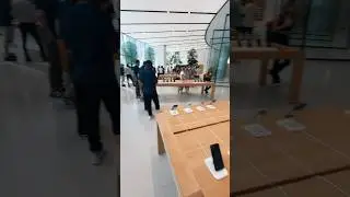 Это ЛУЧШИЙ магазин в мире?🌎😳