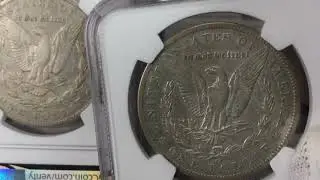 Open Box NGC 1879, 1881, 1885, 1889 CC, 1892, 1893  Carson City Hoard Morgan Dollars 1880 S MS 66+