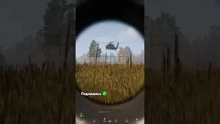 Это не я её сбил🥲.   