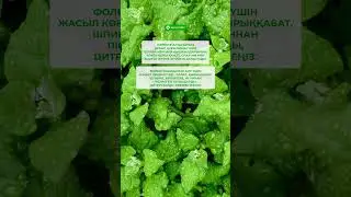 5 ноября 2023 г.