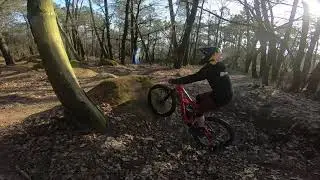 DH à Bignan sur le Bike Park de Crazy Wood