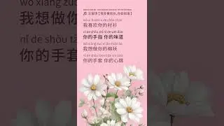 Wang Jun Qi 王俊琪【 I Like You So Much, You’ll Know It 我多喜欢你，你会知道 】