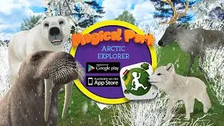 Magical Park: Arctic Explorer