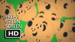 Free Green Screen - Facebook WOW Full Transition